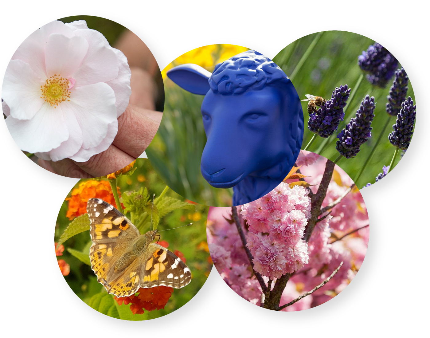 start-ort-comp-shadow